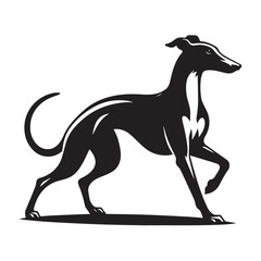 Retro Greyhound Silhouette Collection, Classic Greyhound Silhouette Art, Vintage Greyhound Silhouette Illustration,  Black and White Greyhound Collection, Stylish Retro Greyhound Silhouette Artwork