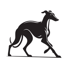 Retro Greyhound Silhouette Collection, Classic Greyhound Silhouette Art, Vintage Greyhound Silhouette Illustration,  Black and White Greyhound Collection, Stylish Retro Greyhound Silhouette Artwork