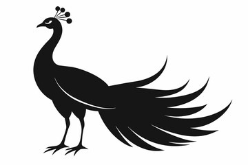 Fototapeta premium peacock silhouette vector on white background.