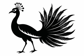 peacock silhouette vector on white background.