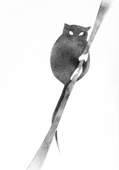 single lemur on twig drawn by hand with stamp with black tempera paint on white paper - 760847763