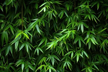 Crédence de cuisine en verre imprimé Vert Bamboo leaves background. Nature asia. Generate AI