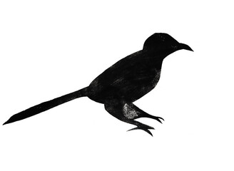 Silhouette of sitting bird drawn by hand with stamp with black tempera paint on white paper - 760850953