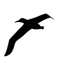 Silhouette of flying great albatross bird drawn by hand with stamp with black tempera paint on white paper - 760850957