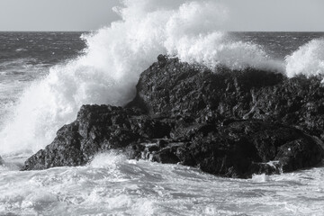Storm waves at the coast