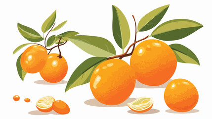 A seething kumquat with its orange peel tightly fur - obrazy, fototapety, plakaty