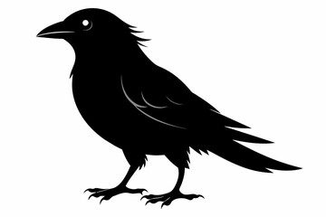 bird silhouette black color vector on white background.