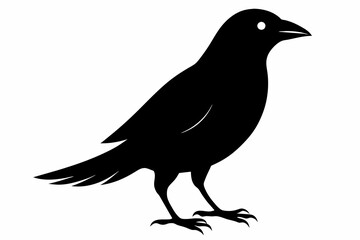 Fototapeta premium bird silhouette black color vector on white background.