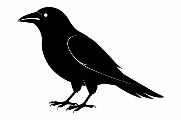 bird silhouette black color vector on white background.