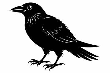 bird silhouette black color vector on white background.