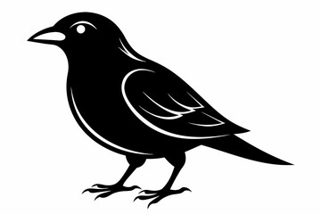 bird silhouette black color vector on white background.