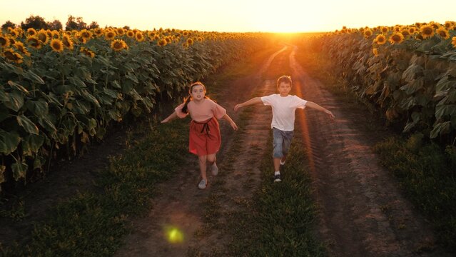 Happy boy and girl children running with open hands fantasy flying at sunflower field sunset sunlight. Active teen kids flight imagination enjoy freedom outdoor leisure activity and childhood sunrise