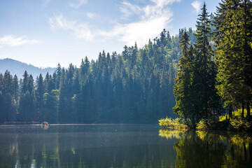 alpine lake synevyr in carpathian mountains in morning light. summer landscape with coniferous forest on the shore. scenery under the blue sky. popular travel destination of ukraine