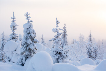 Beautiful foggy winter morning after sunrise in February in Kuusamo, Northern Finland - 760857536