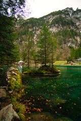 Trees on small island at the Blausee in Switzerland