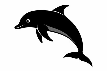 dolphin silhouette  vector on white background.