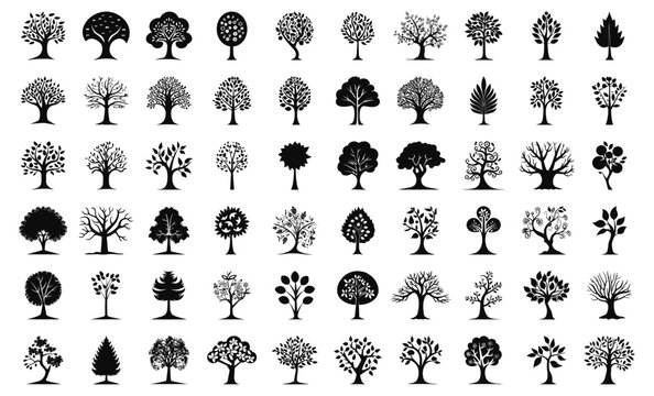 Tree black icons. Abstract trees silhouettes on white, oak spruce pine poplar linden ash willow plants simple decoration shapes, graphics collection