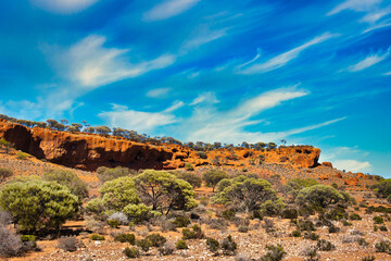 Desert vegetation with salt bush and mulga at the foot of red rocks, near Mount Magnet, mid-west of...