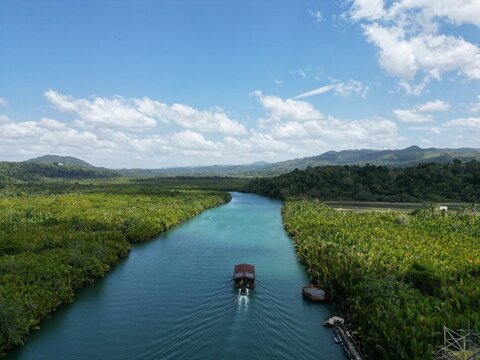 Bohol Loboc river cruise on Philippines. Palms, cloudy sky, hills