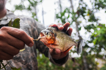 man showing teeth of piranha in amazonian jungle 