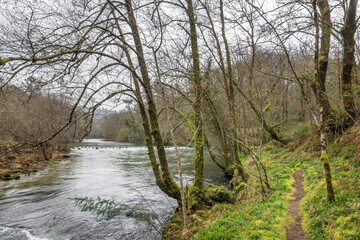 El río Tea a su paso por Mondariz (Galicia, España)