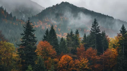 Fotobehang mountain behind the forested hill. lovely nature background on an overcast autumn day © Mustafa