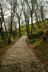 sentiero di pietra