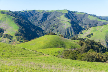 Fototapeta premium view in Vargas Plateau Regional Park