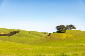 view in Vargas Plateau Regional Park