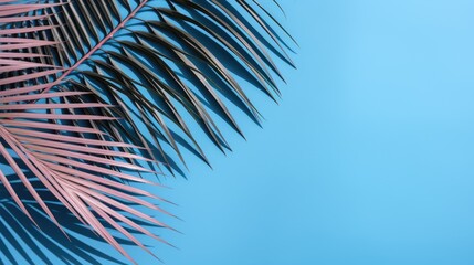 Obraz premium A palm tree with pink tropical leaves on a blue background with a place to copy text. The concept of recreation, tourism and sea travel.