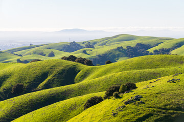 view in Vargas Plateau Regional Park