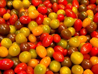 Tomatoes cherry tomato variation mix red green yellow 