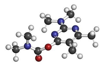 Pirimicarb insecticide molecule.