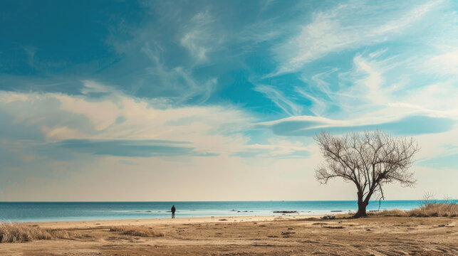 Solitary Nature: A tranquil image of a lone figure standing amidst a vast natural landscape, such as a deserted beach, empty field, or solitary tree, highlighting the solitude of being in nature. 