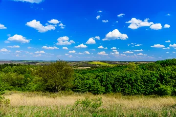 Fotobehang Green forest and fields under the blue sky. Summer landscape © ihorbondarenko