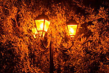 Old street lantern in a green foliage at night