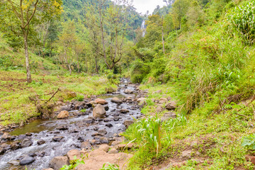 Stream near Materuni waterfall at foot of mountain Kilimanjaro not far from the city Moshi, Tanzania