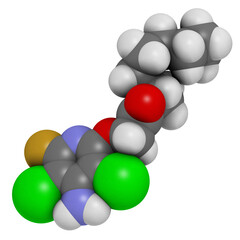 Fluroxypyr herbicide molecule.
