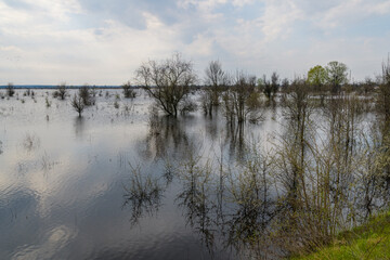 Flooded area near the Dnieper River in spring