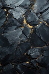 Luxurious Black Marble with Gold Veins Texture