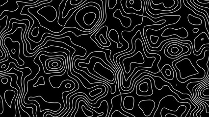 Fractal lines background. Topographic map like abstract backdrop