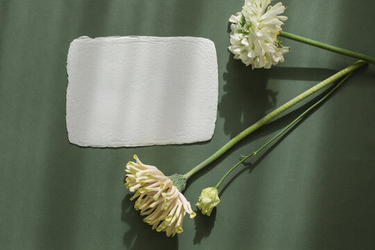 Overhead view of a blank handmade deckle edge card on a table with lisianthus, gerbera and ranunculus flowers in sunlight
