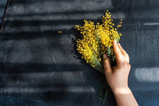 Overhead view of a woman's hand reaching for a bunch of freshly picked yellow mimosa stems on a table