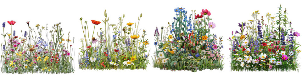 Vibrant meadow with wildflowers Hyperrealistic Highly Detailed Isolated On Transparent Background Png File
