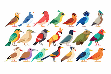 Various species wild birds, vector art illustration 