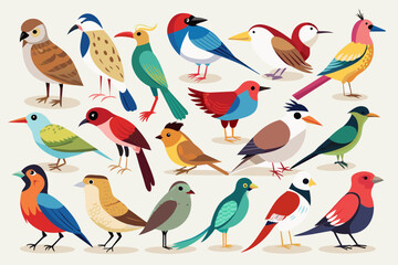 Various species wild birds, vector art illustration 