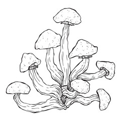 Set of magic poisonous mushrooms. Tattoo fungus design, trendy romance symbol. Witch amanita mushrooms for Halloween. Vector sketch toadstool illustration