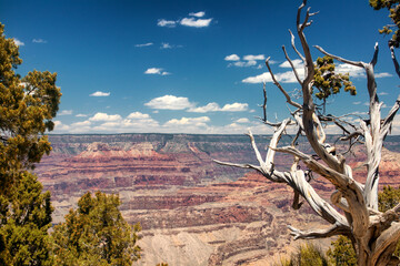 Experience the awe-inspiring majesty of Grand Canyon views in Arizona, USA, where towering cliffs...