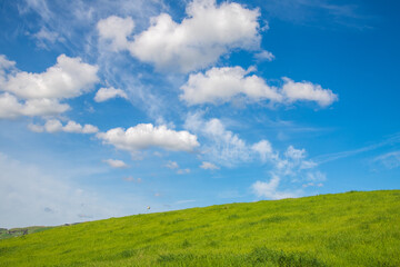 view on Montgomery Hill, San Jose