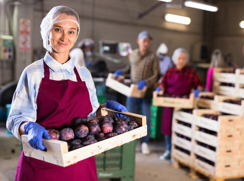Woman in uniform standing with box full of plums in warehouse. Her co-workers stacking boxes in background.